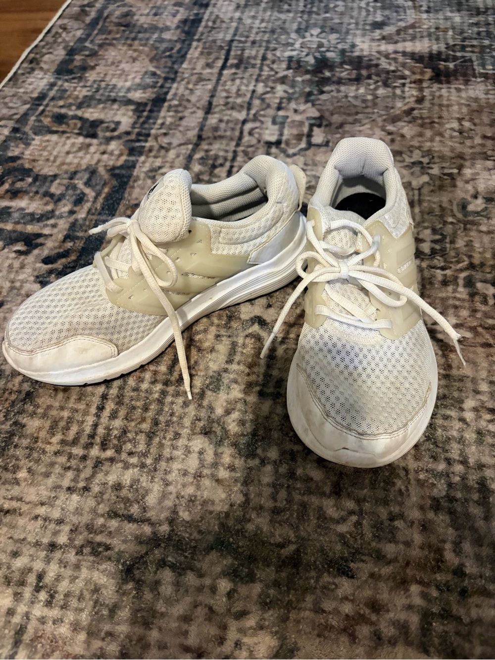 adidas women’s Sneakers cloudfoam in White
